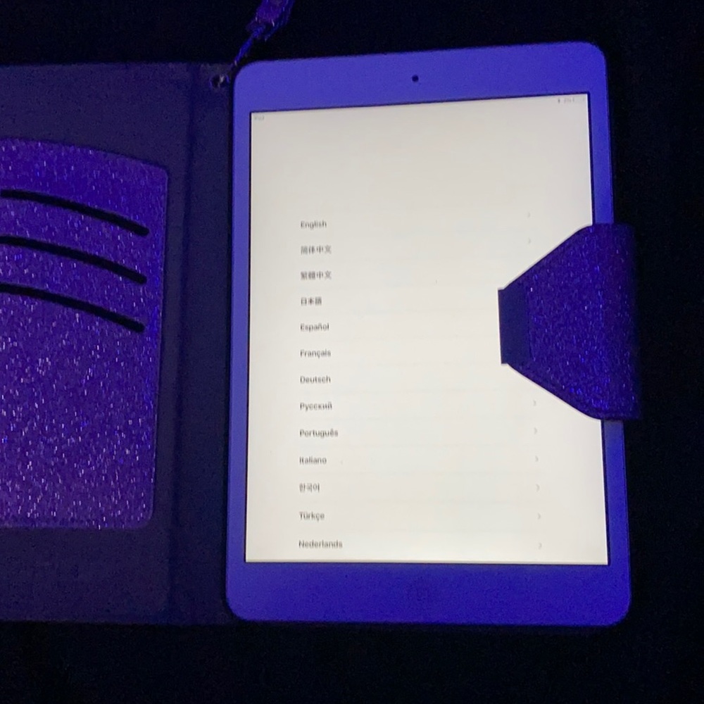 Apple iPad mini (iCloud locked)